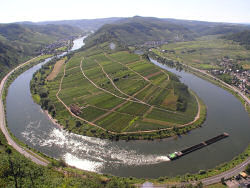 Moseldalen Moseldalen