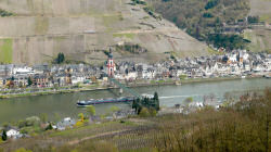 Zell
